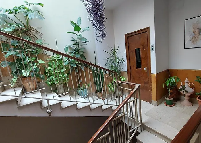 Daire Amedeo - Centro